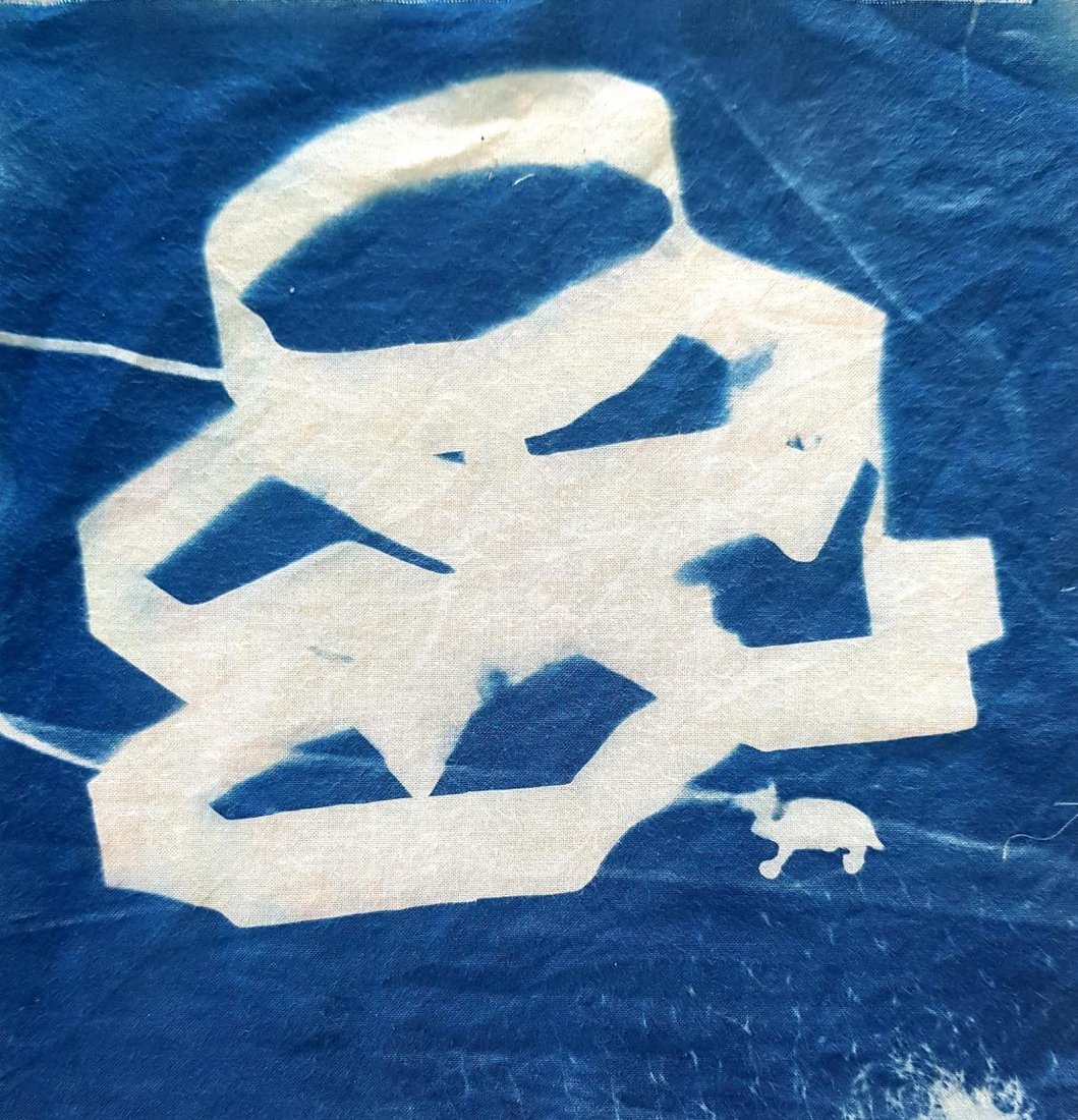 Cyanotype detail