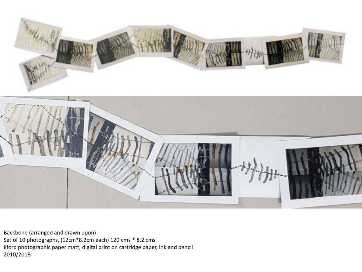 Backbone — photographs, 2010