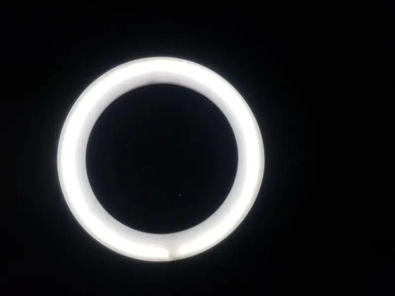 Flyover Country — creature in space